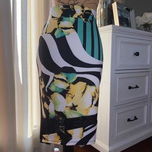 Multicolored Pencil Skirt